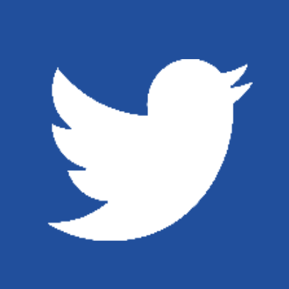 Twitter Button Icon